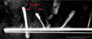 Hyperphysics: The Cloud Chamber image