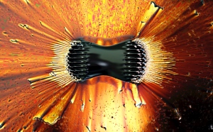 Ferrofluids image