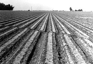 Imperial Valley Earthquake image