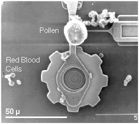 Physics in Action:  Tiny Machines image