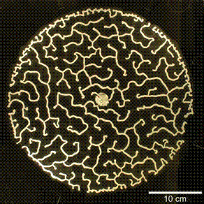 Granular Materials image