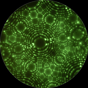 Evidence for Atoms image