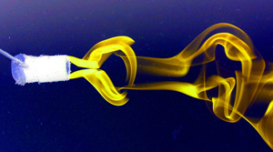 Model of Insect Wings' Wake Vortex image