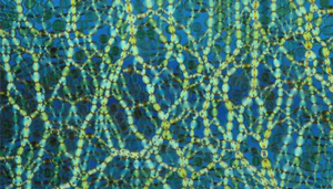 Shear Forms Force Chains image