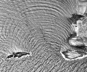 Oceanography: Waves  image